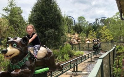 Black Bear Trail opens with Wildwood Grove at Dollywood